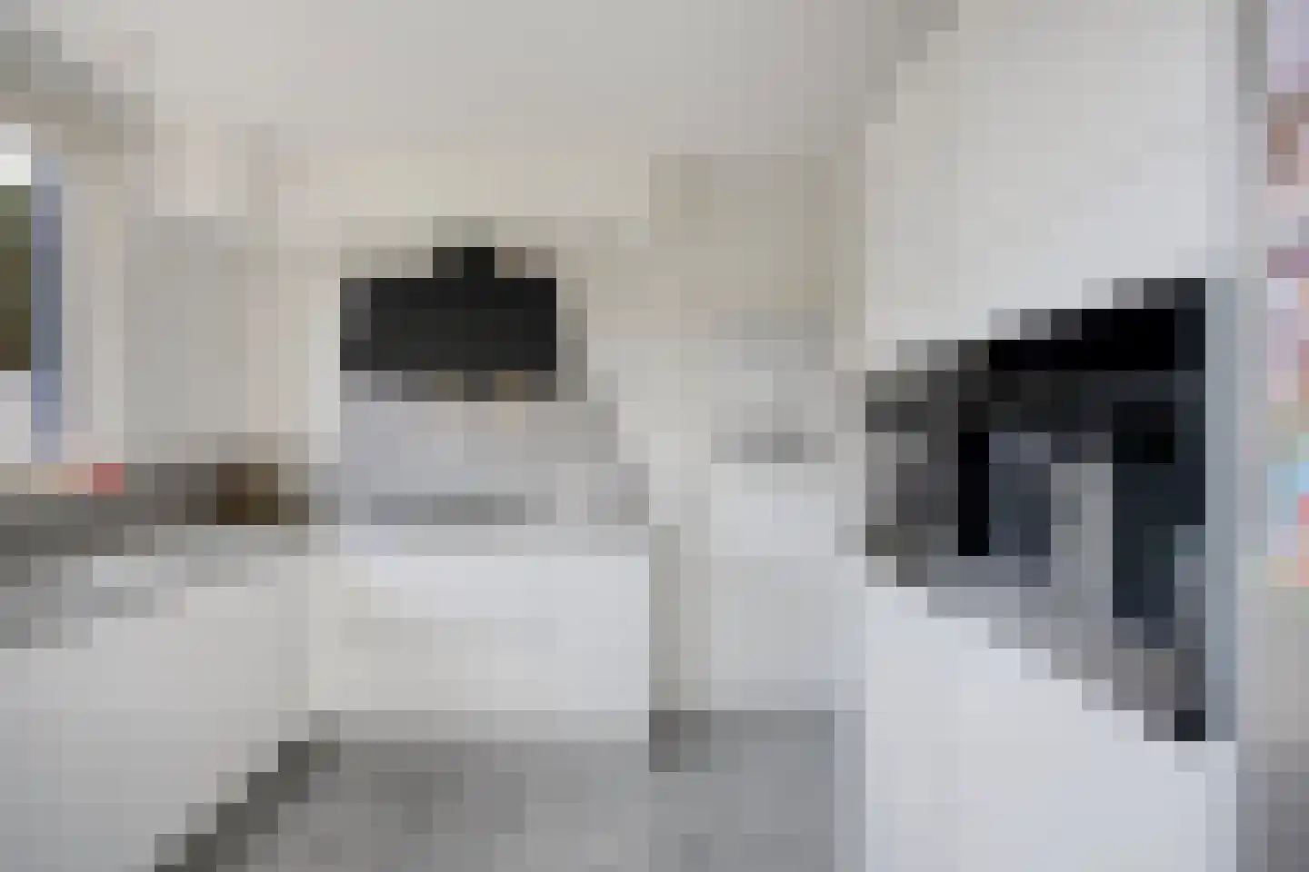 Bettinumstraat 108 Buchten thumbnail 4