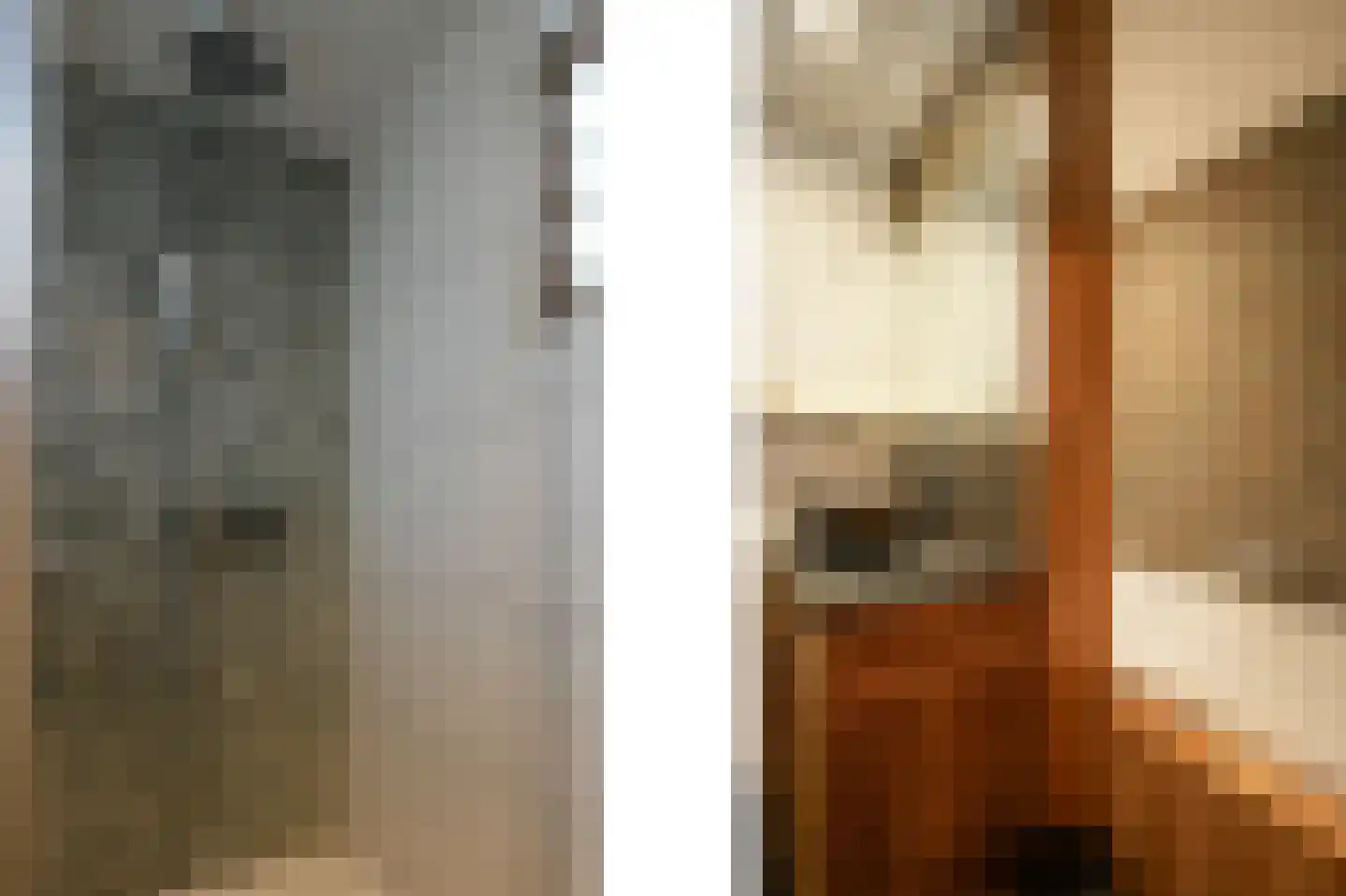 Bettinumstraat 48 Buchten thumbnail 17