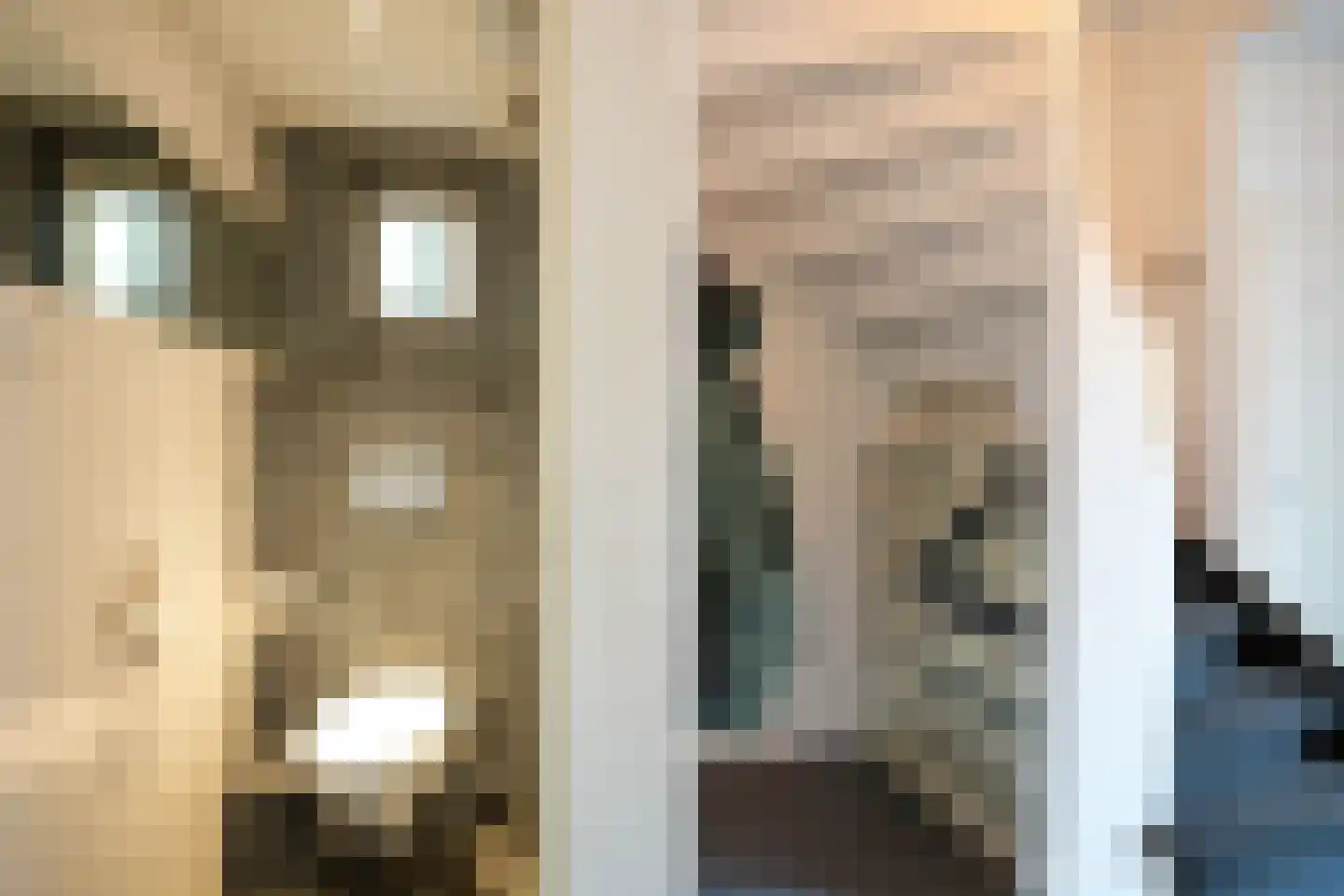 Bettinumstraat 48 Buchten thumbnail 4