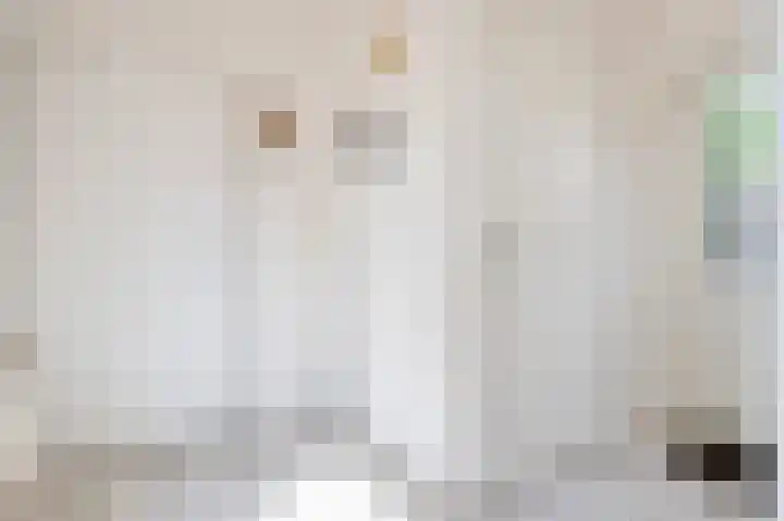 Bettinumstraat 92 Buchten thumbnail 17