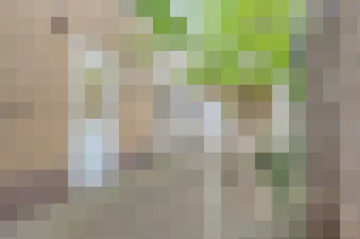 Bettinumstraat 92 Buchten thumbnail 20