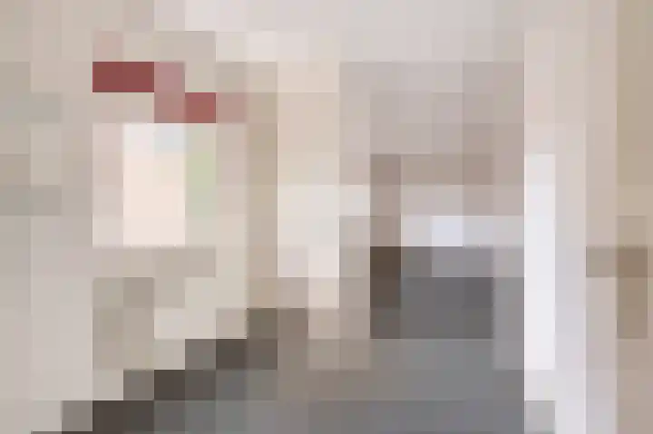 Bettinumstraat 92 Buchten thumbnail 28