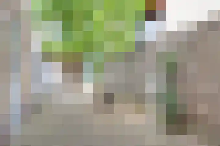 Bettinumstraat 92 Buchten thumbnail 5