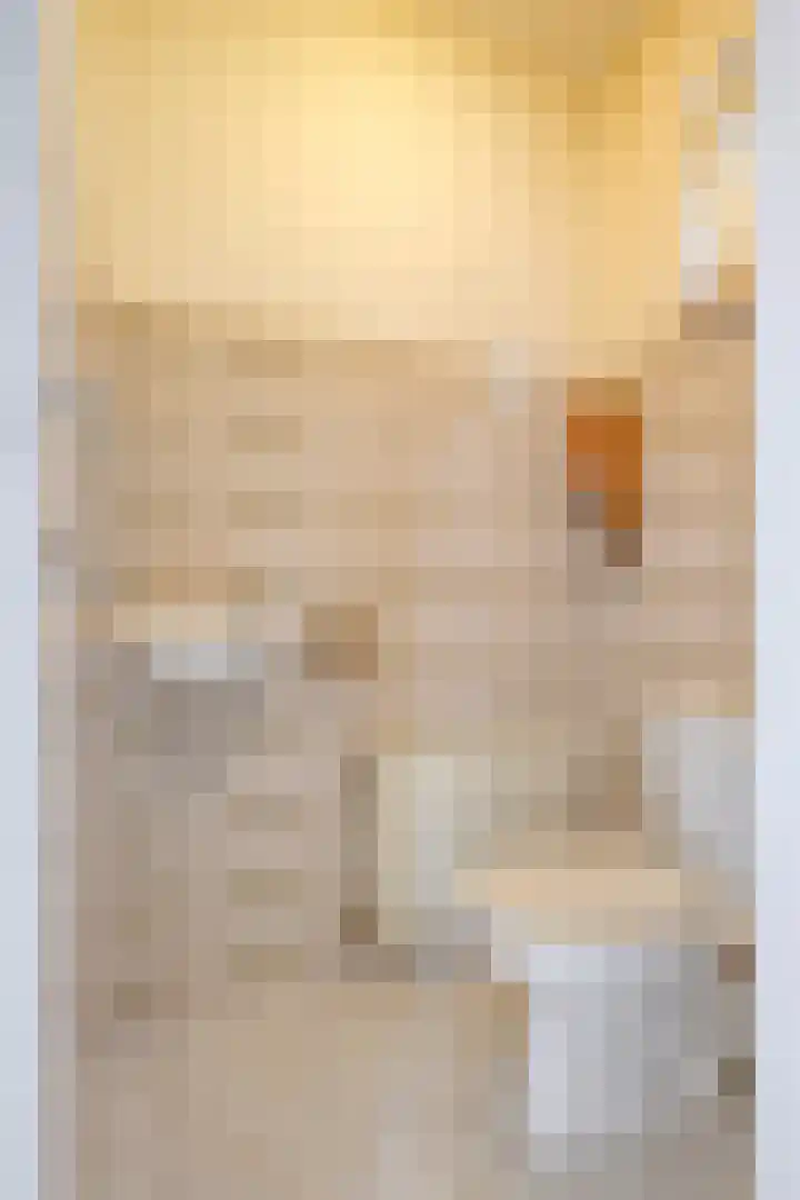 Bettinumstraat 92 Buchten thumbnail 9