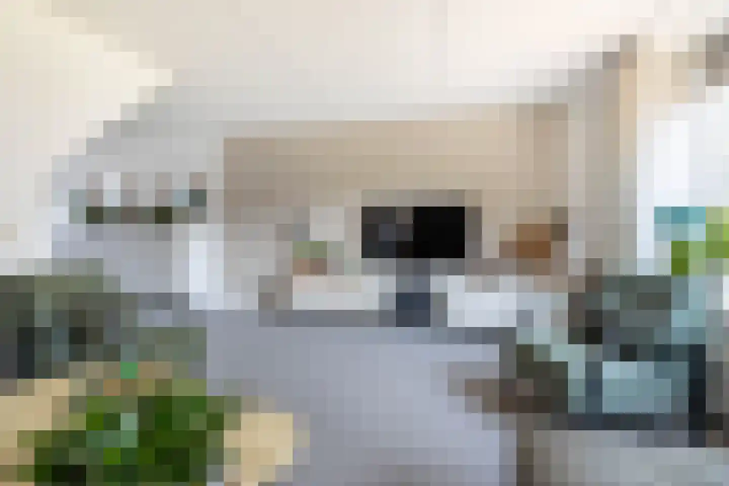 Betuining 23 Almelo thumbnail 15