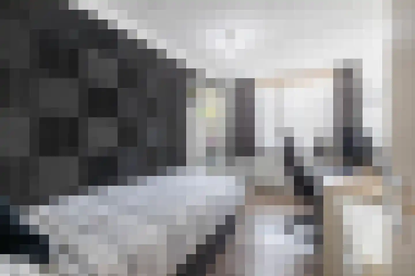 Betuining 23 Almelo thumbnail 20
