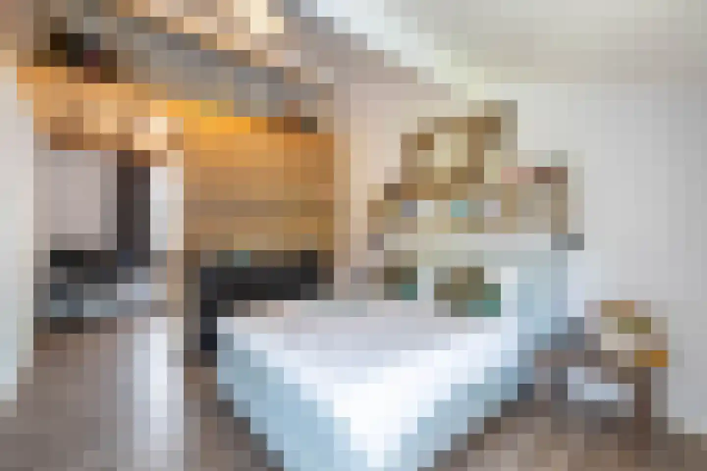 Betuining 23 Almelo thumbnail 23