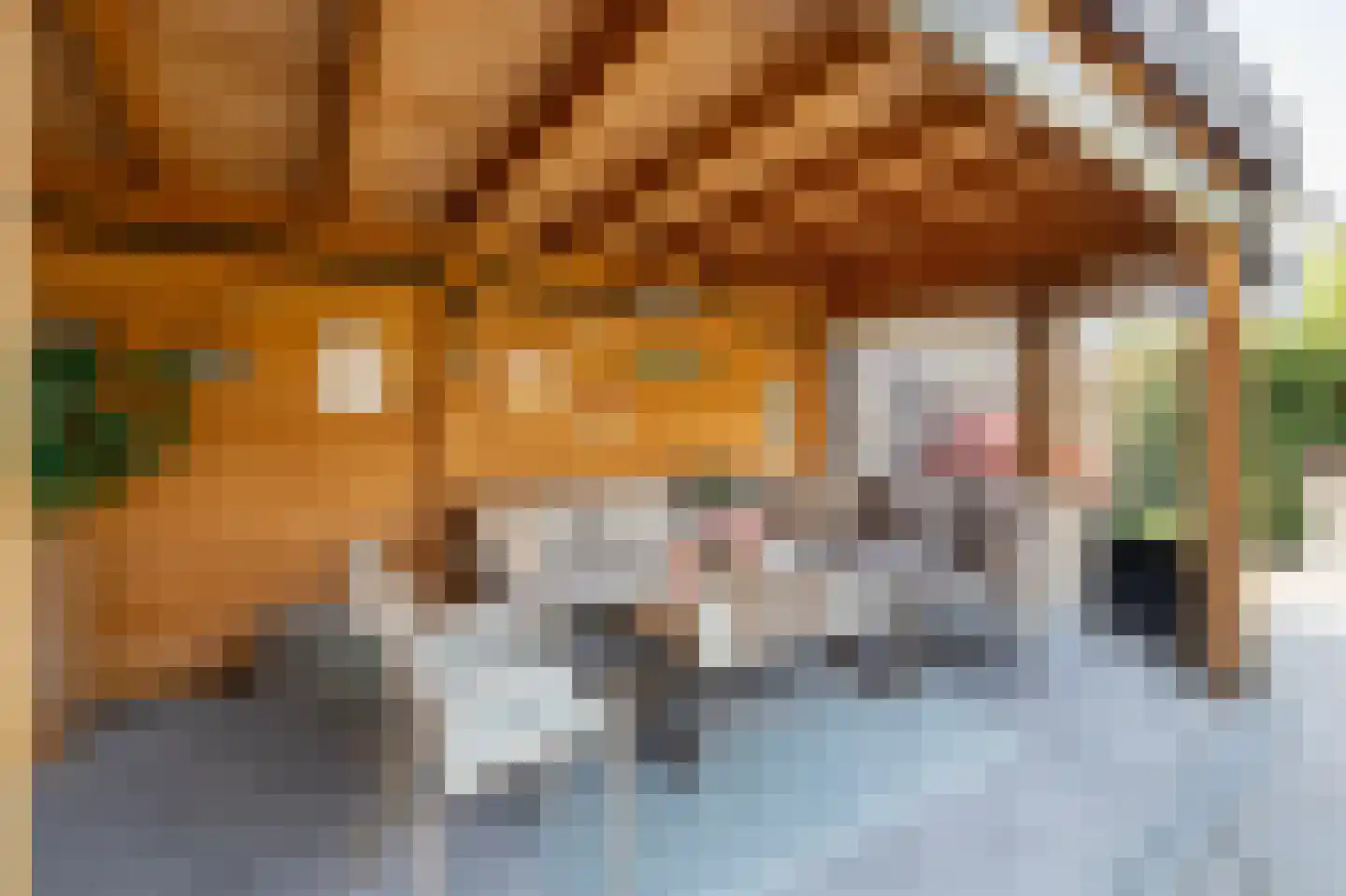 Betuining 23 Almelo thumbnail 29