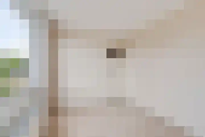 Betulastraat 3 Doesburg thumbnail 25