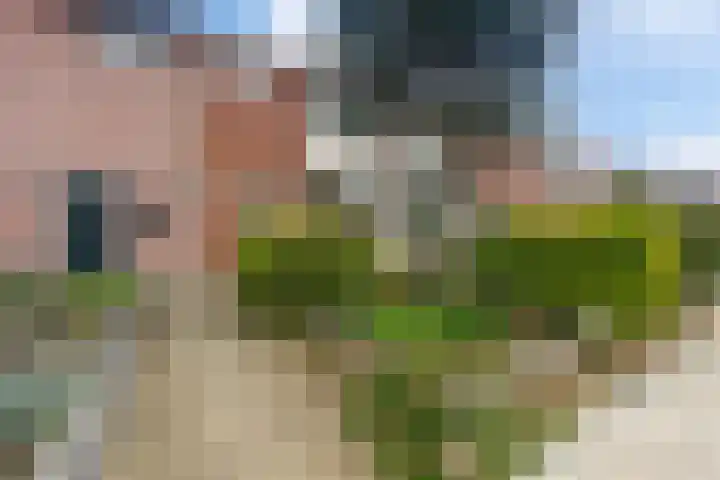 Betulastraat 3 Doesburg thumbnail 5