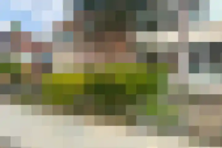 Betulastraat 3 Doesburg thumbnail 7