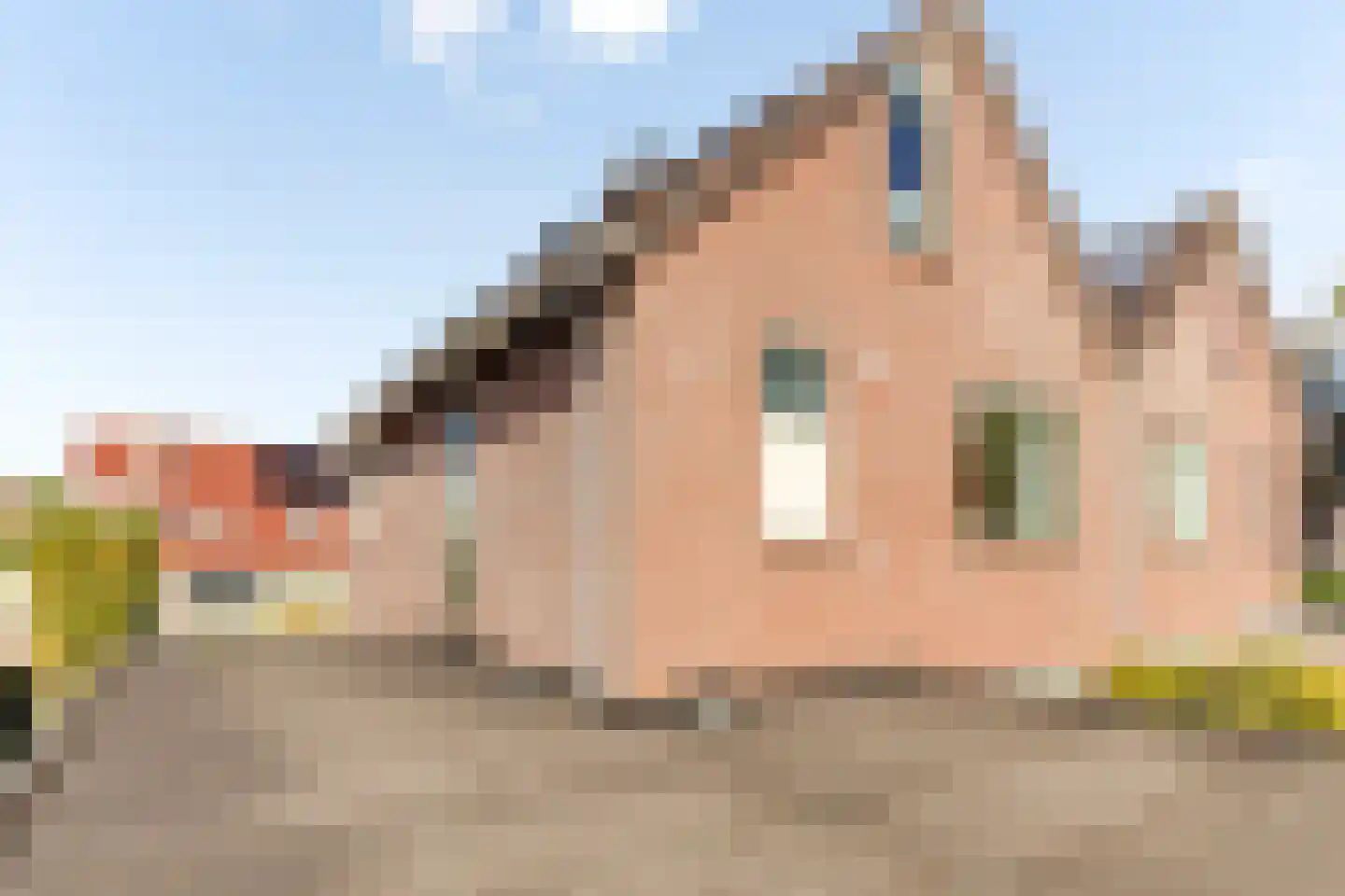 Betuwe 12 Emmeloord thumbnail 24