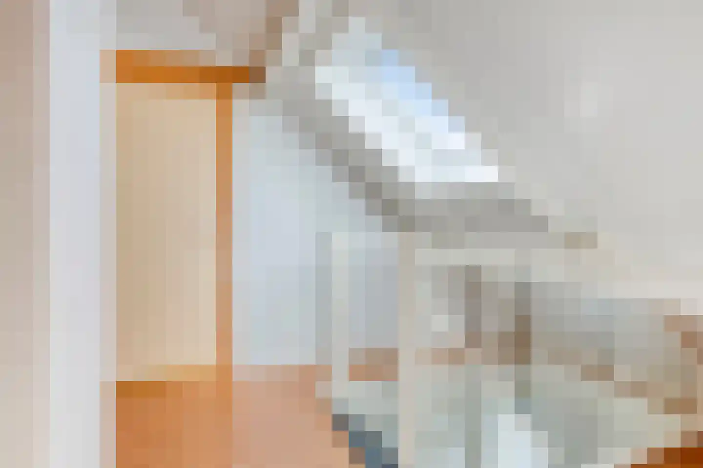 Betuwe 12 Emmeloord thumbnail 30