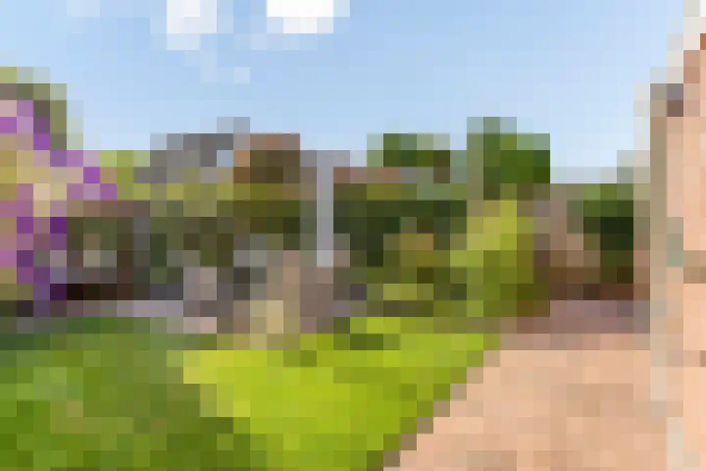 Betuwe 12 Emmeloord thumbnail 35