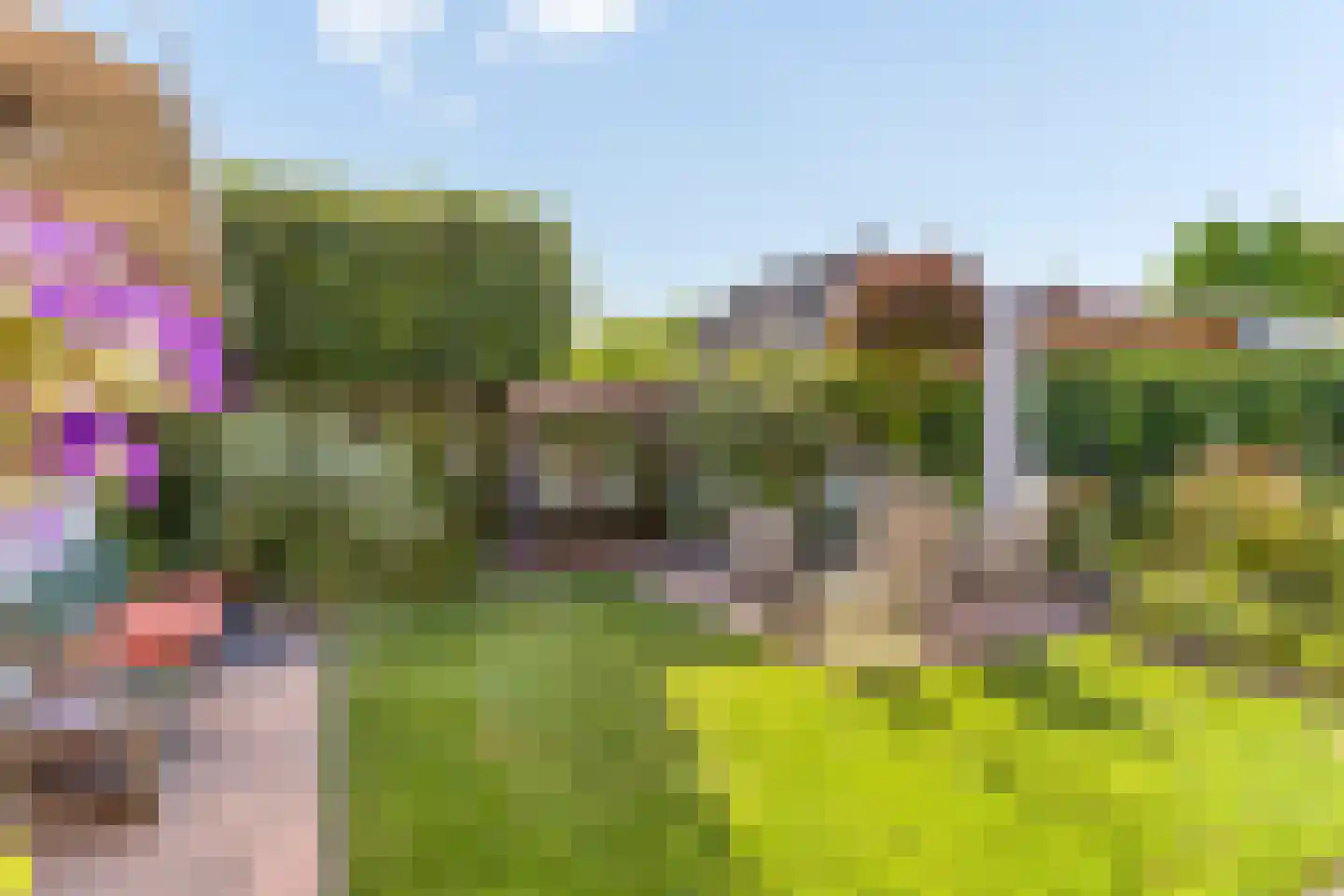 Betuwe 12 Emmeloord thumbnail 36