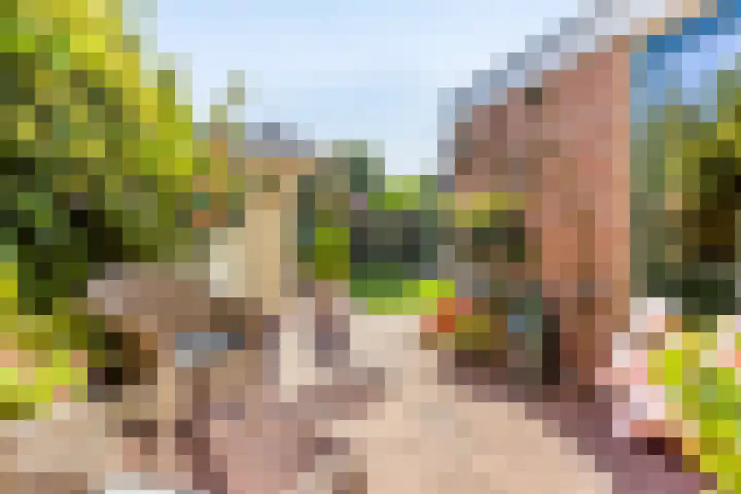 Betuwe 12 Emmeloord thumbnail 39