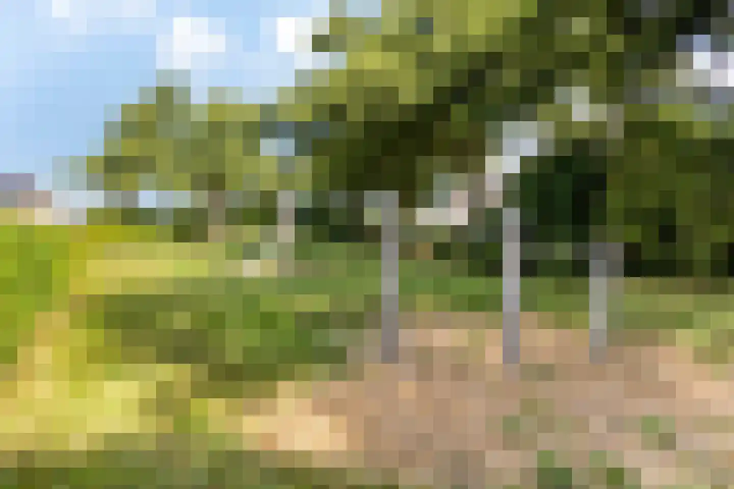 Betuwe 12 Emmeloord thumbnail 40