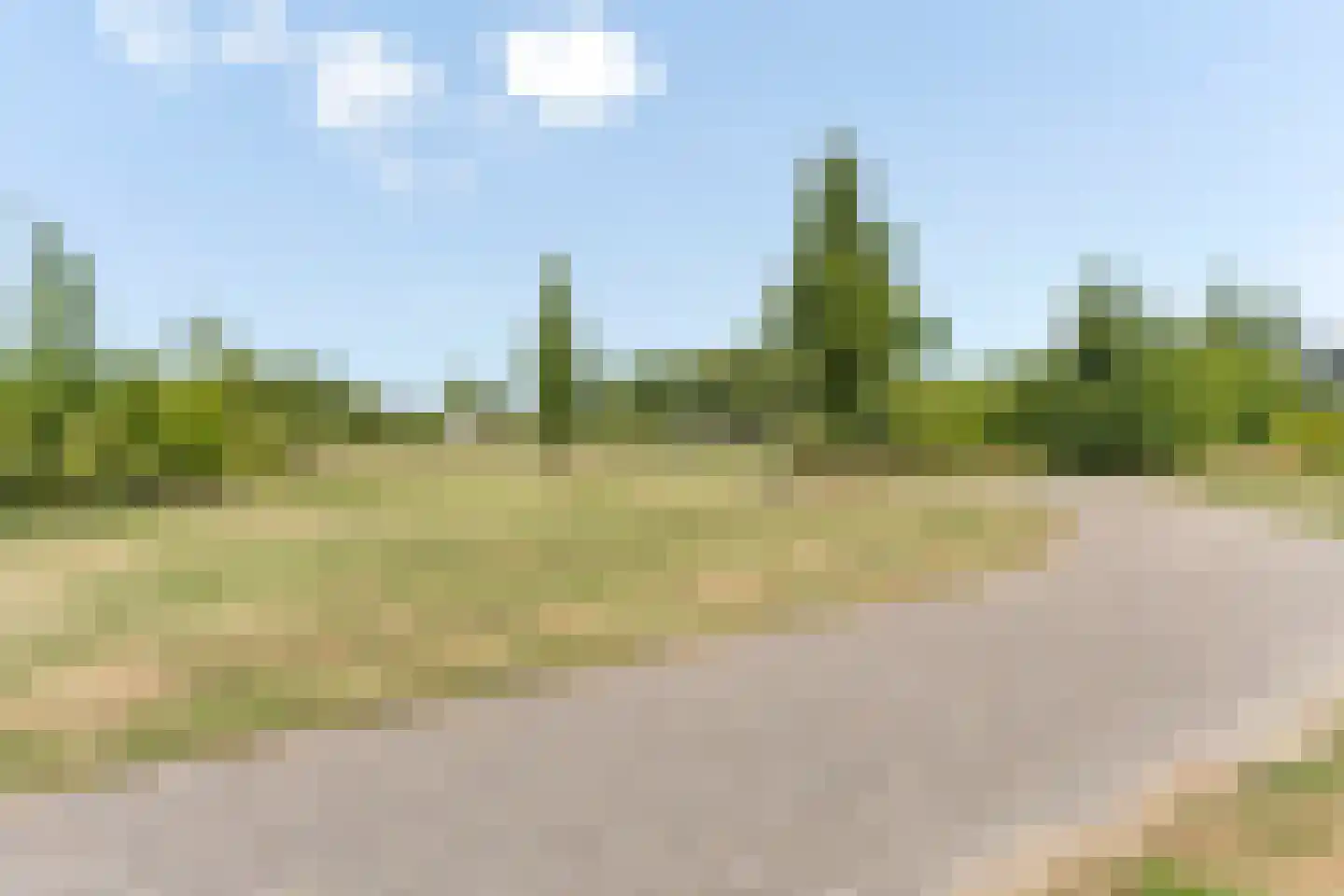 Betuwe 12 Emmeloord thumbnail 41