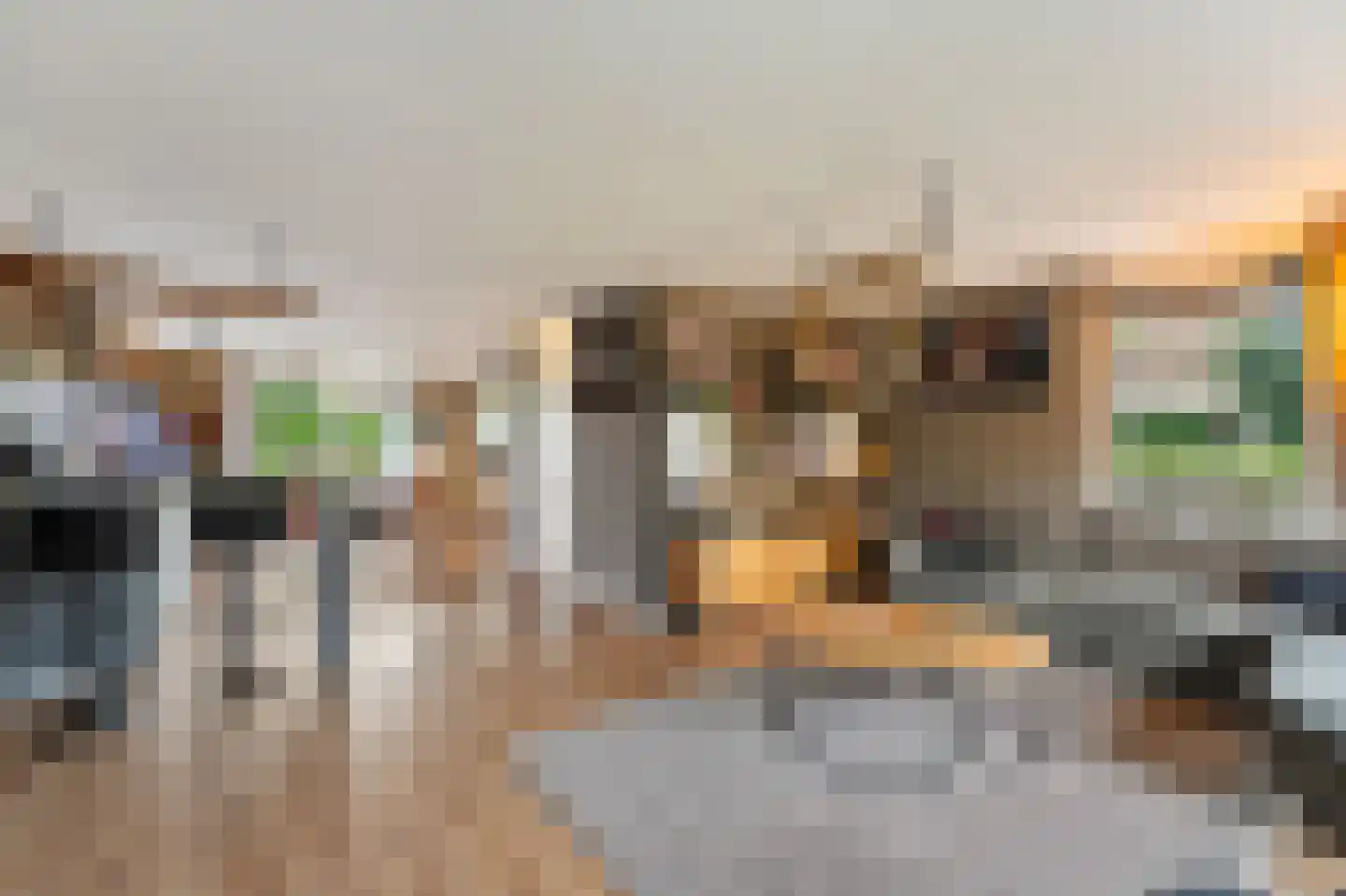 Betuwe 19 Emmeloord thumbnail 15
