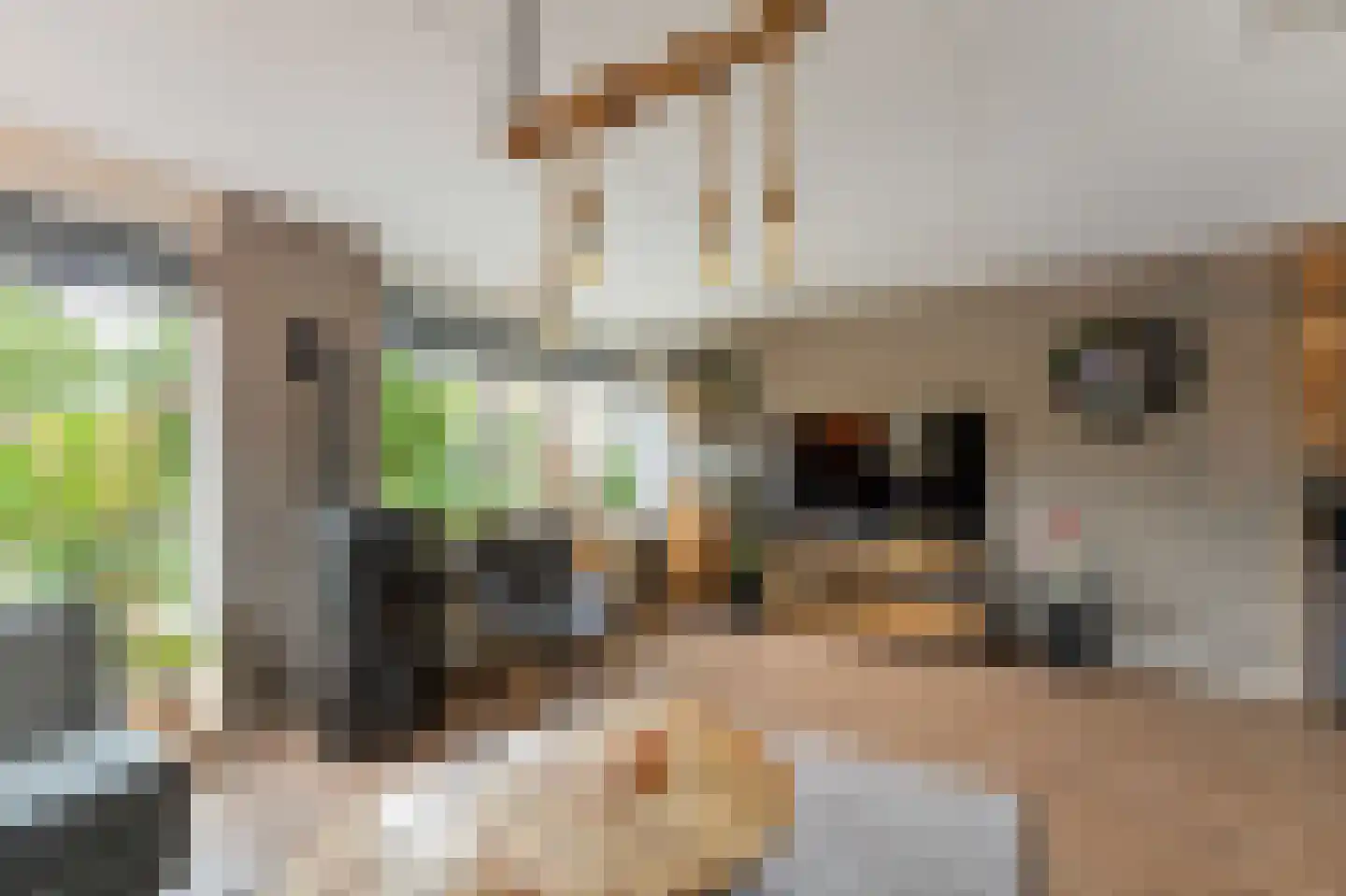 Betuwe 19 Emmeloord thumbnail 17
