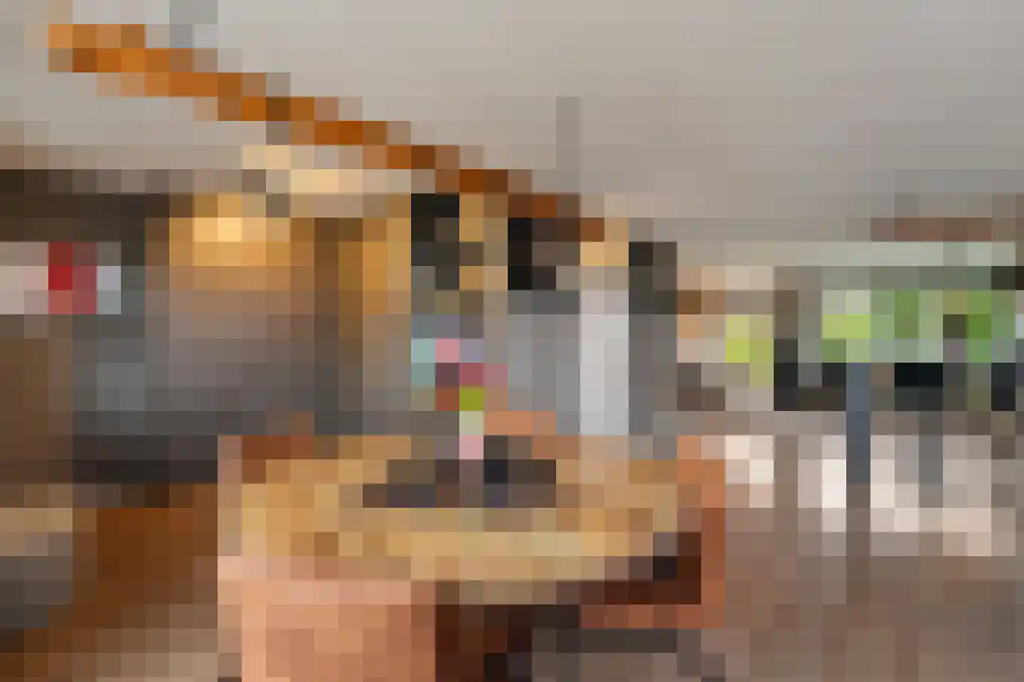 Betuwe 19 Emmeloord thumbnail 19