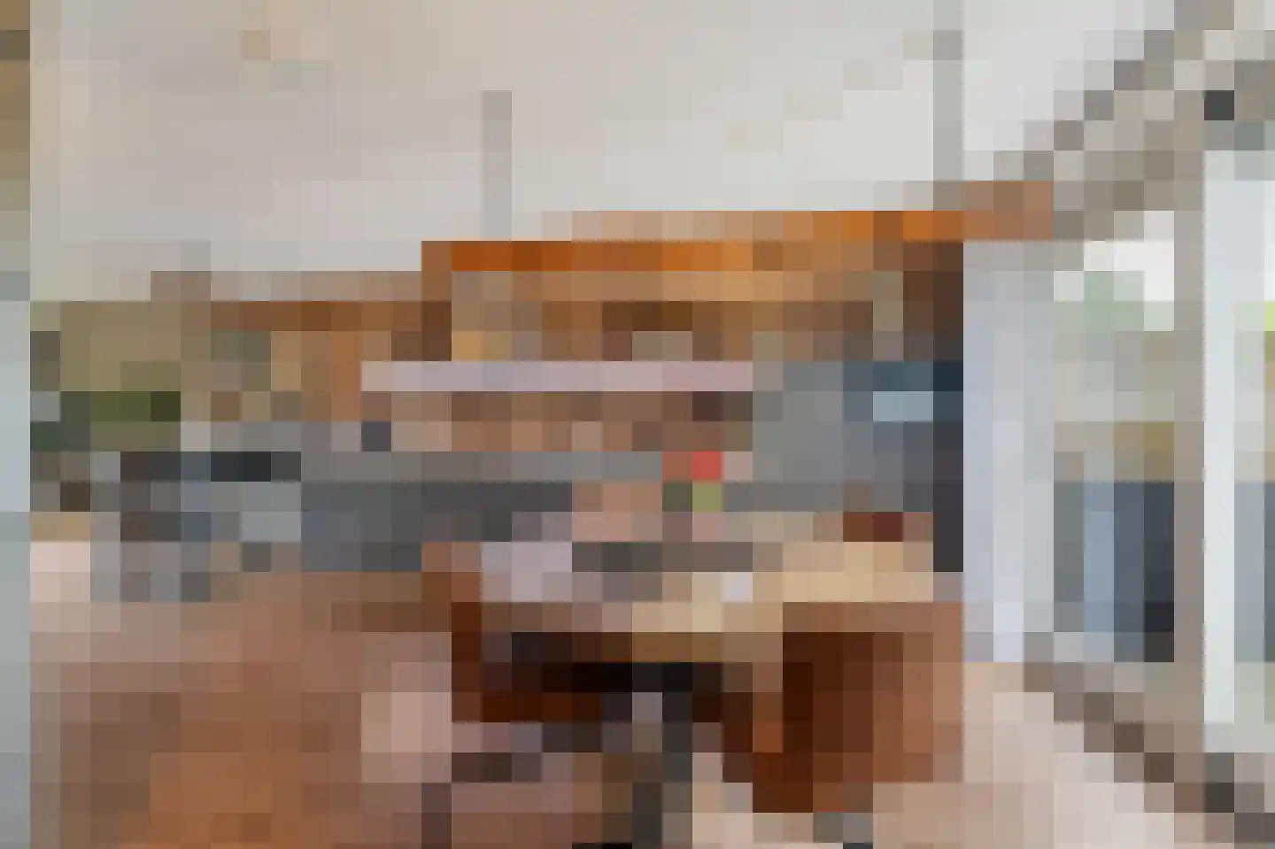 Betuwe 19 Emmeloord thumbnail 20