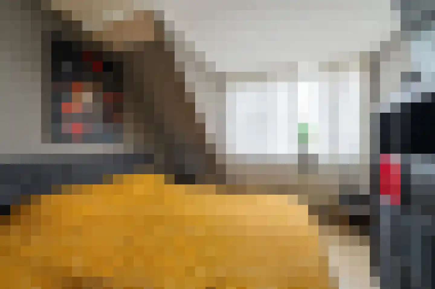 Betuwe 19 Emmeloord thumbnail 34