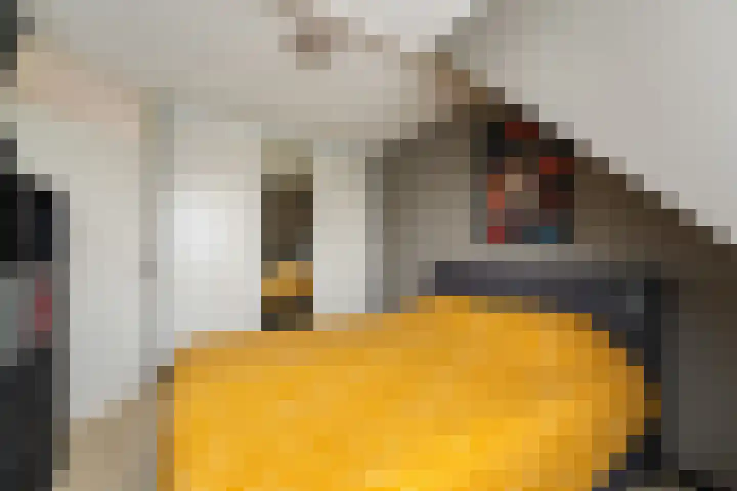 Betuwe 19 Emmeloord thumbnail 35