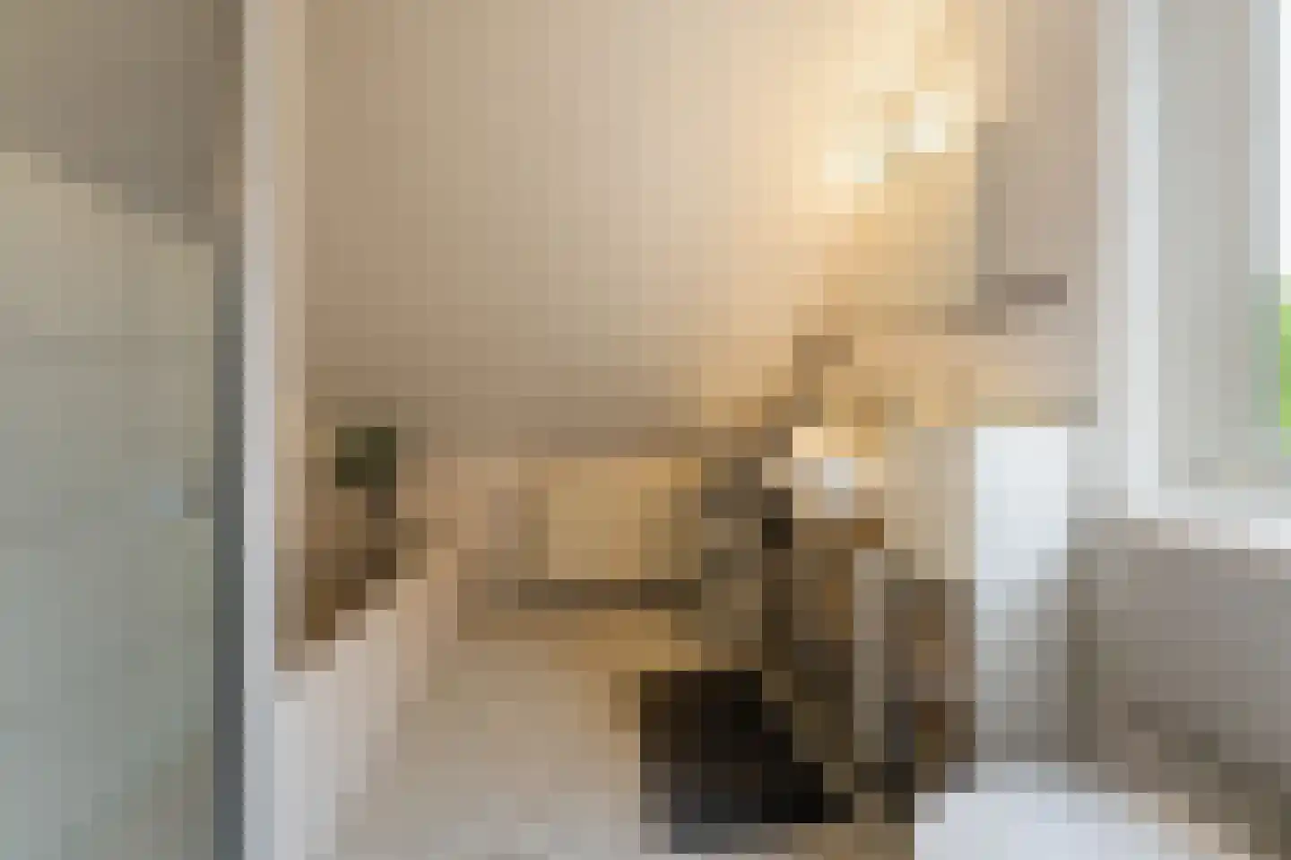 Betuwe 19 Emmeloord thumbnail 36