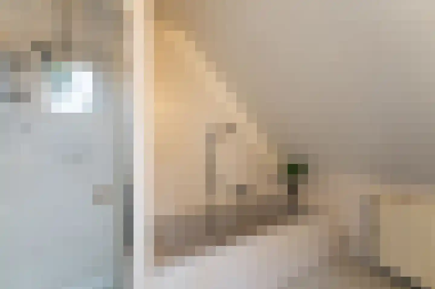 Betuwe 19 Emmeloord thumbnail 37