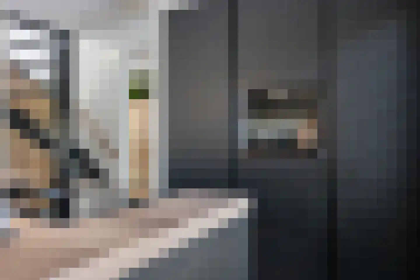 Betuwe 32 Assen thumbnail 15