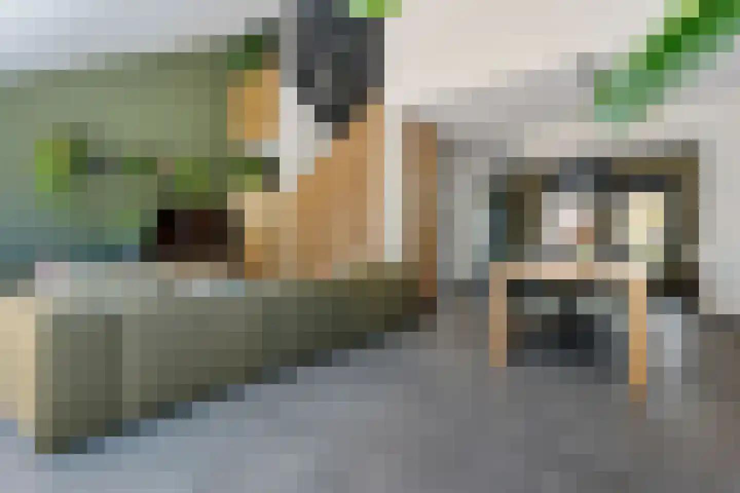 Betuwe 32 Assen thumbnail 16