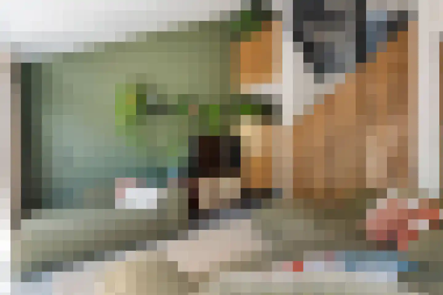 Betuwe 32 Assen thumbnail 19