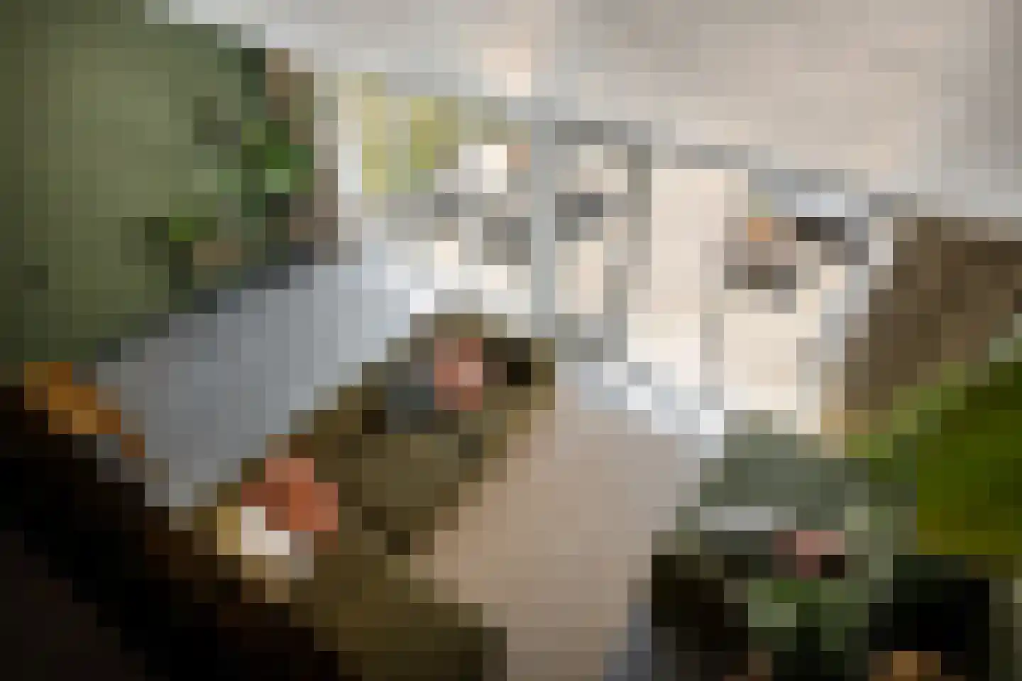 Betuwe 32 Assen thumbnail 21