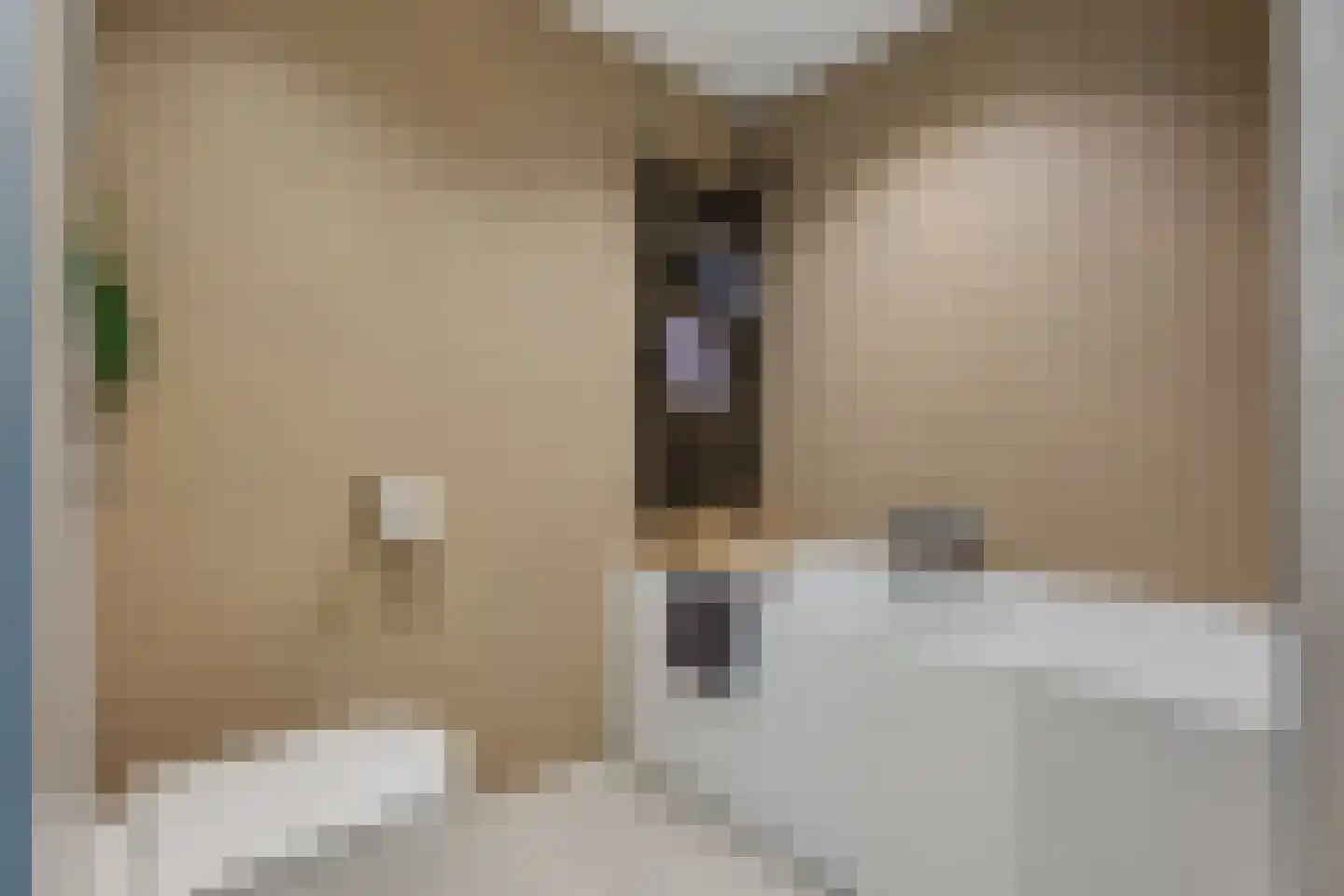 Betuwe 32 Assen thumbnail 23