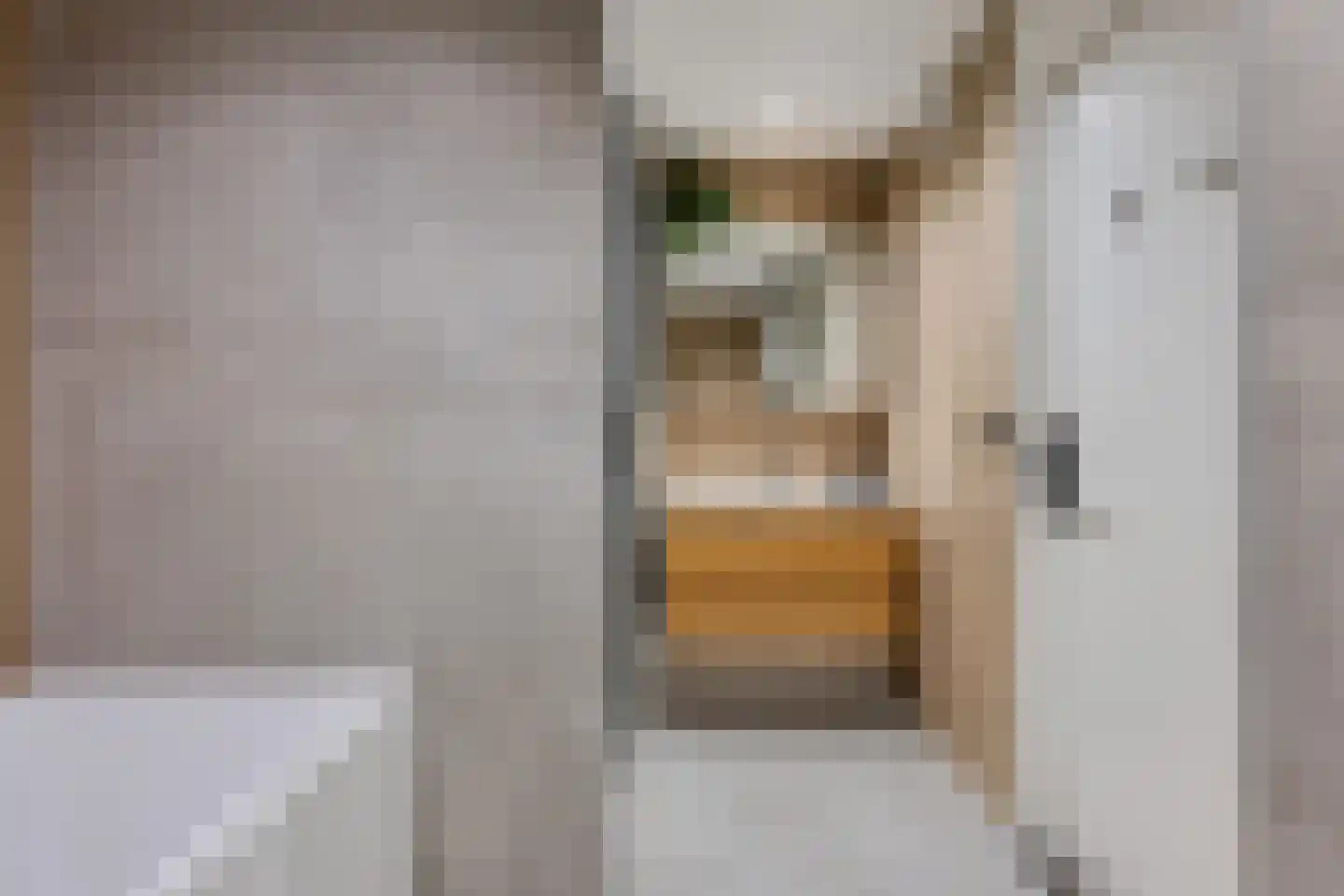 Betuwe 32 Assen thumbnail 24