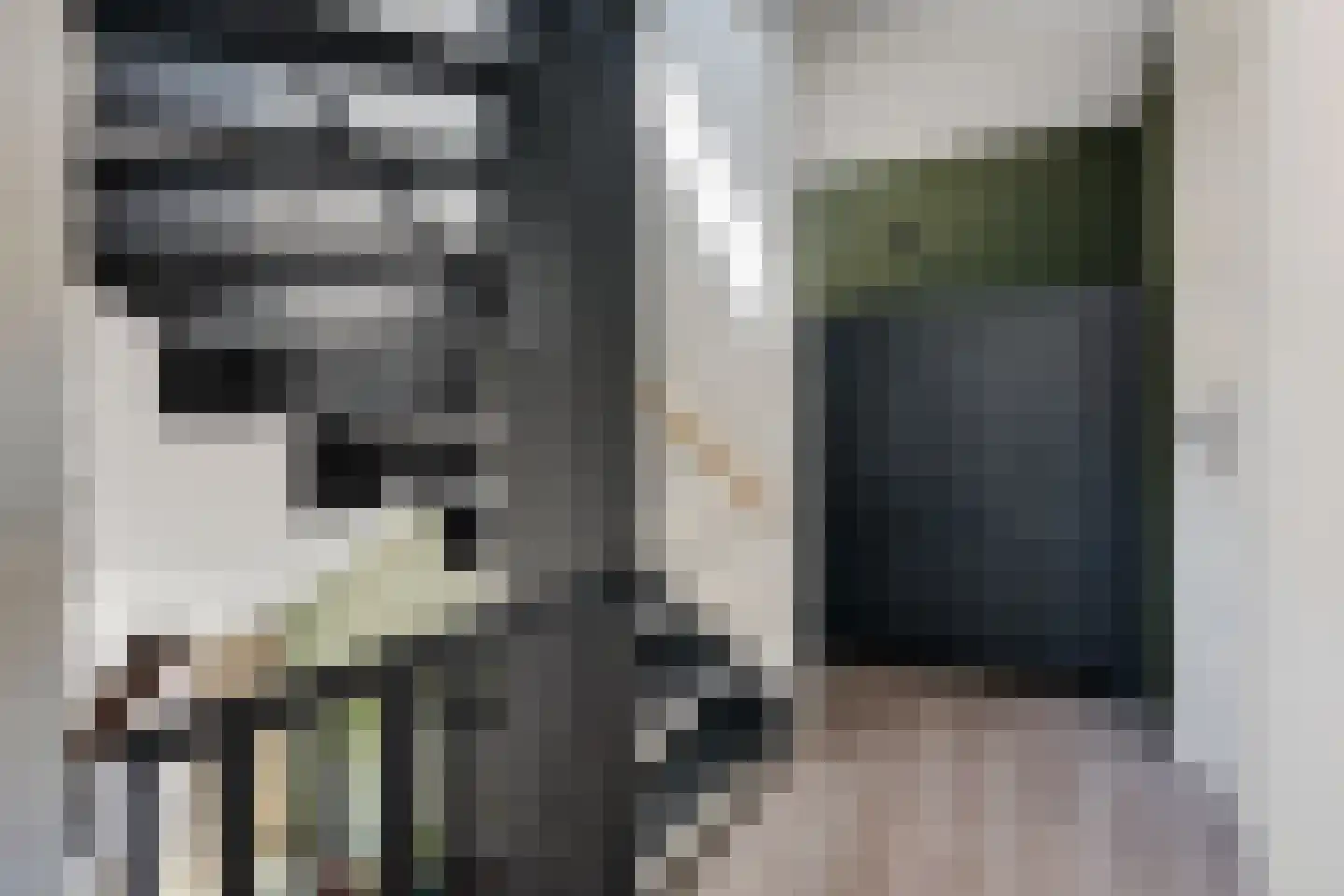 Betuwe 32 Assen thumbnail 33