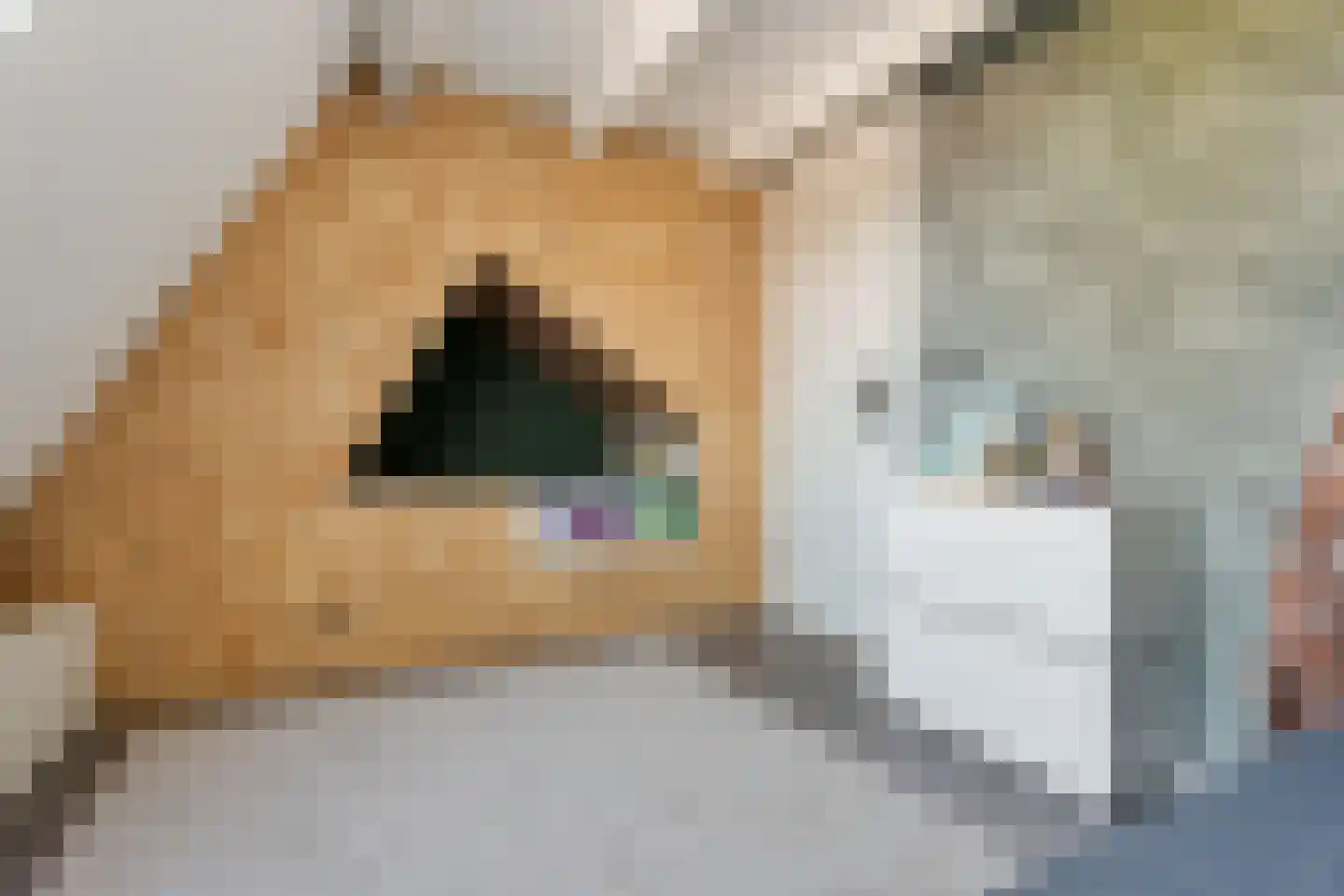 Betuwe 32 Assen thumbnail 36