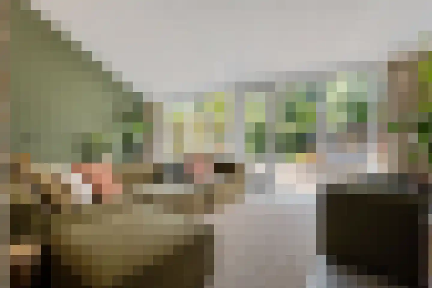 Betuwe 32 Assen thumbnail 4