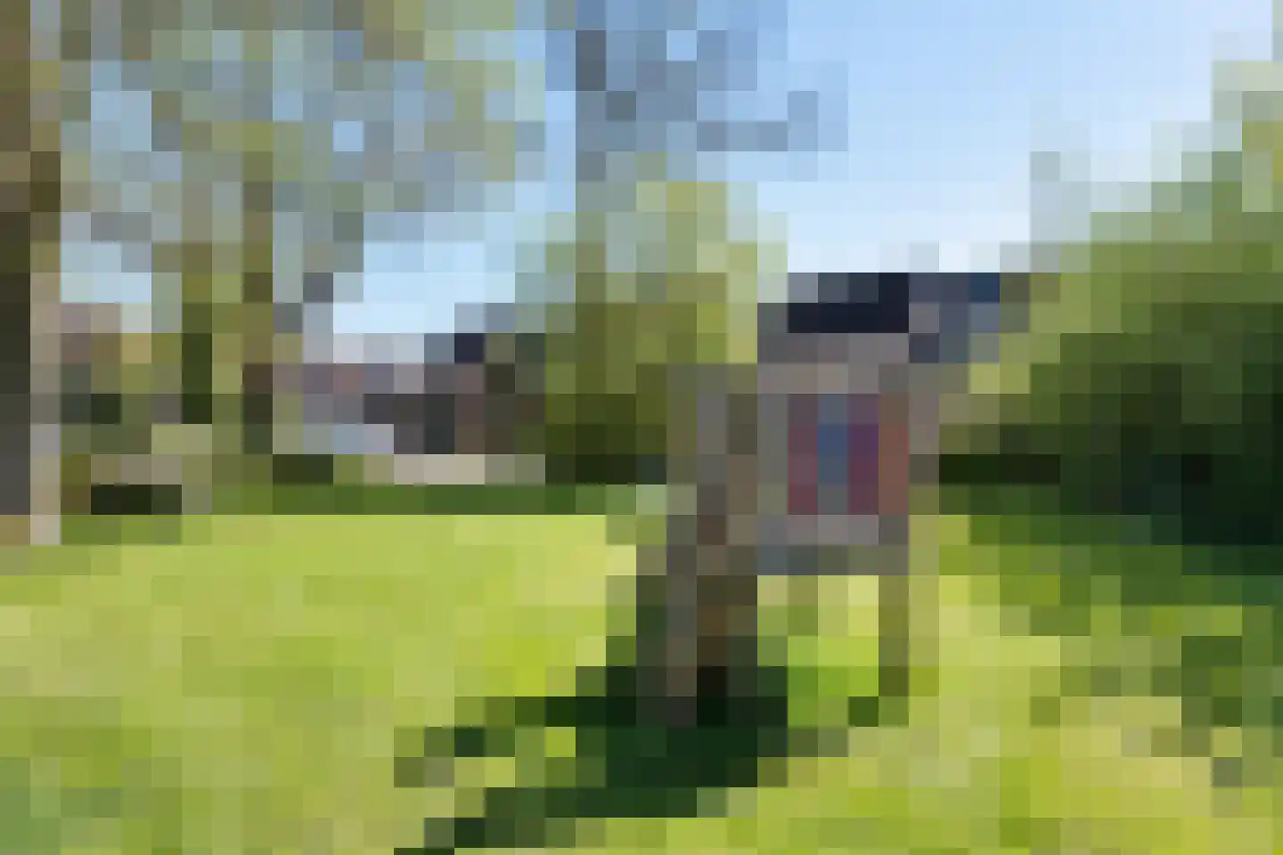 Betuwe 32 Assen thumbnail 40
