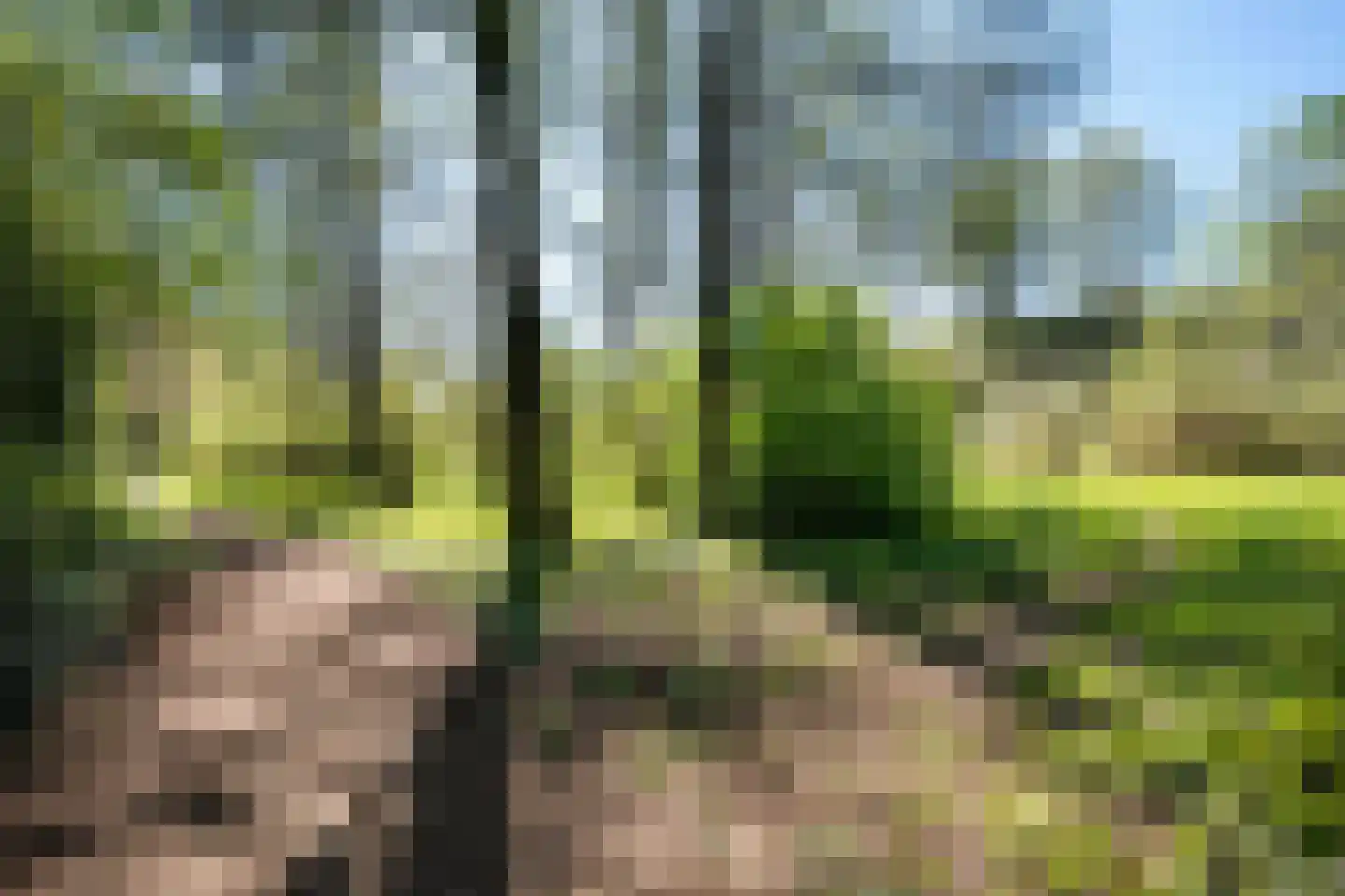 Betuwe 32 Assen thumbnail 43
