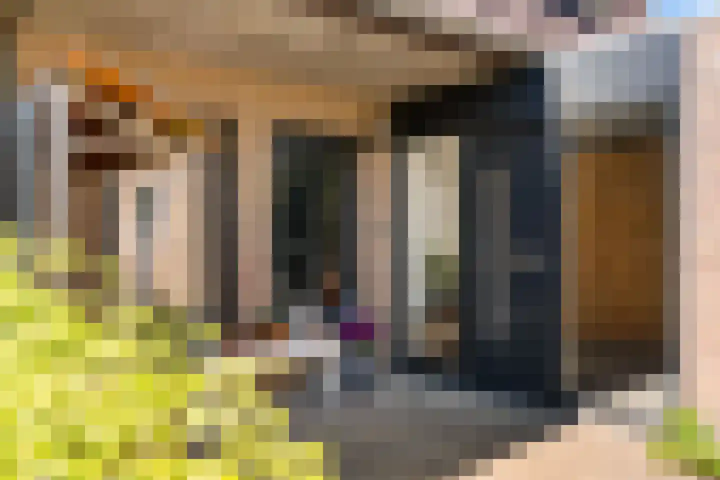 Betuwe 32 Assen thumbnail 8