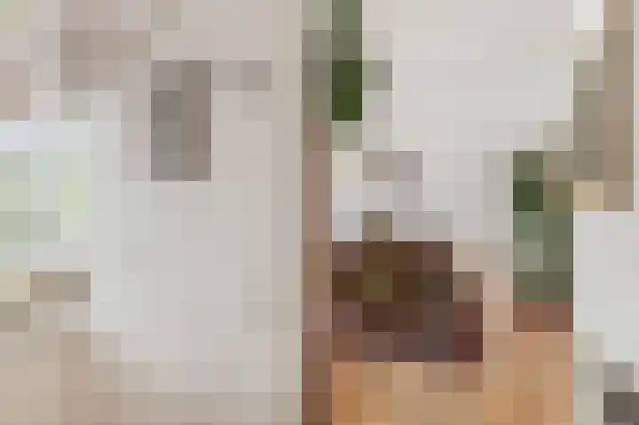Betuwe 36 Assen thumbnail 17