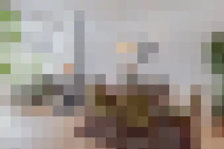Betuwe 36 Assen thumbnail 18