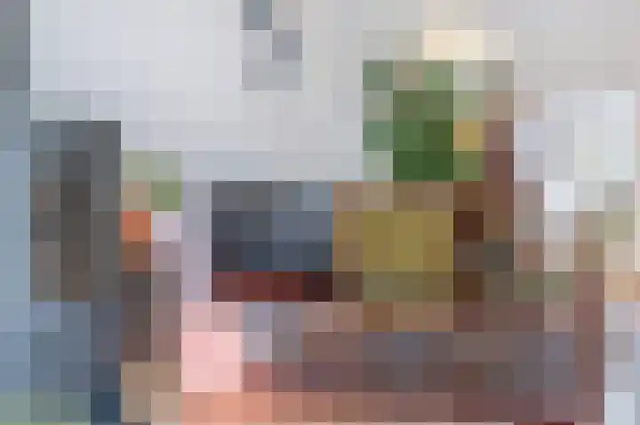 Betuwe 36 Assen thumbnail 24