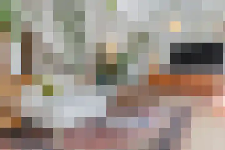 Betuwe 36 Assen thumbnail 25