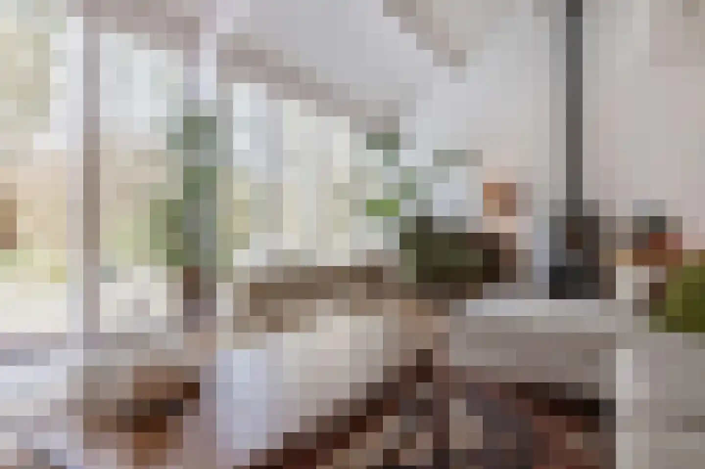 Betuwe 36 Assen thumbnail 27