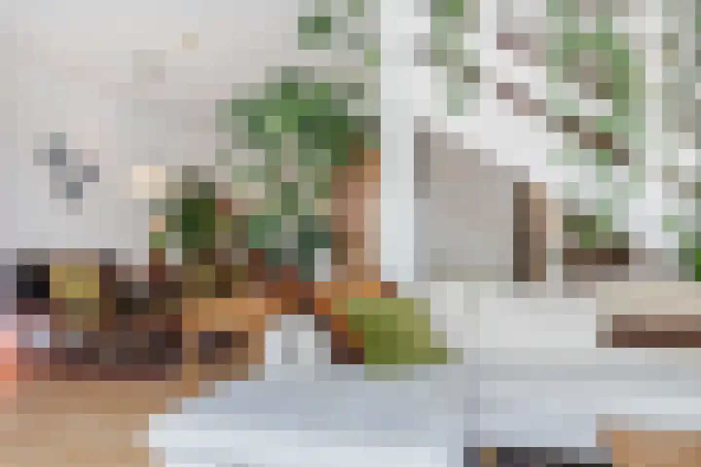 Betuwe 36 Assen thumbnail 29
