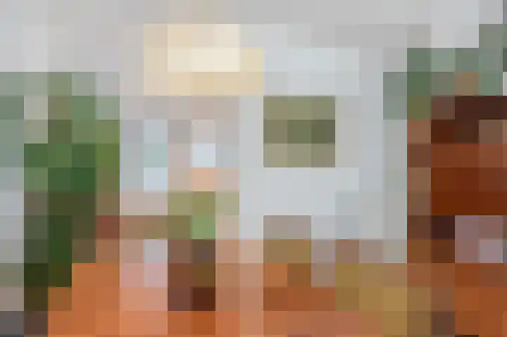 Betuwe 36 Assen thumbnail 32