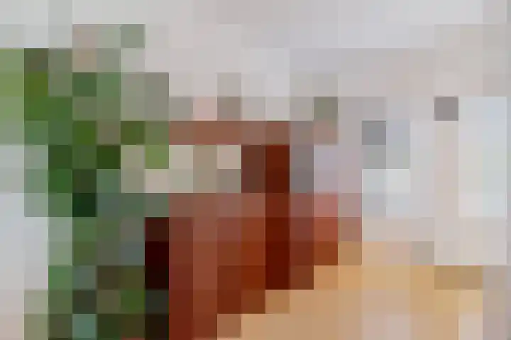 Betuwe 36 Assen thumbnail 33